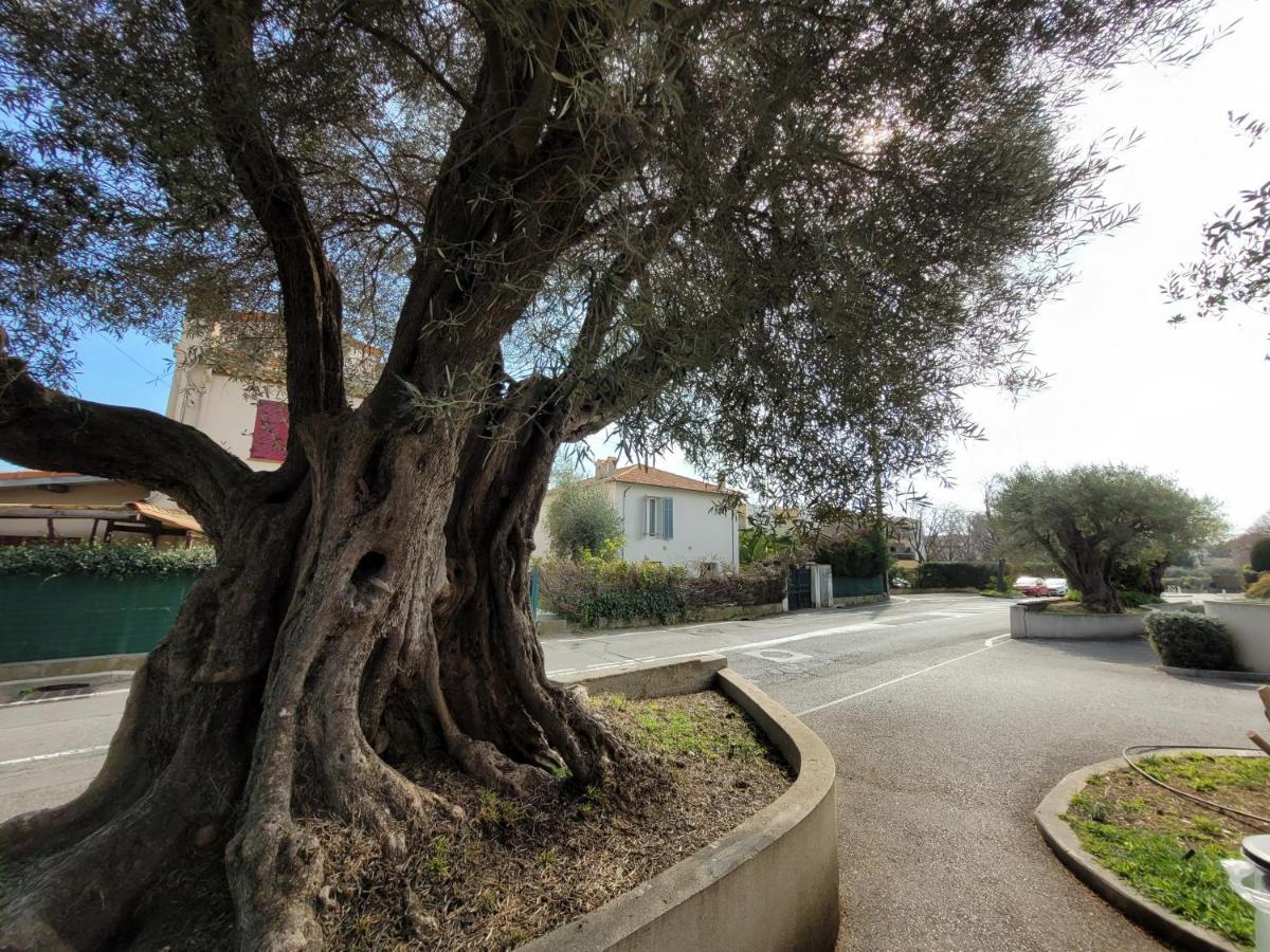 Villa La Desiree - Haut De Villa, 68M2, 8 Personnes Max, Climatise, 4 Etoiles, 120M2 De Jardin Et Parking, Wifi, Vu Mer Antibes Exterior foto